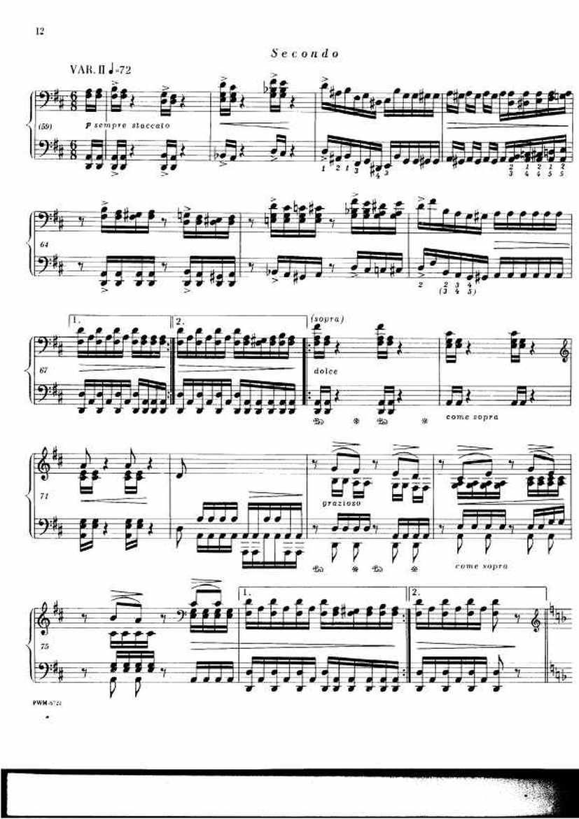 Chopin_ekier_variations_in钢琴谱