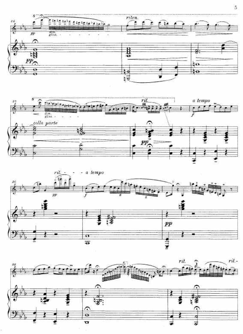 Sarasate_20钢琴谱