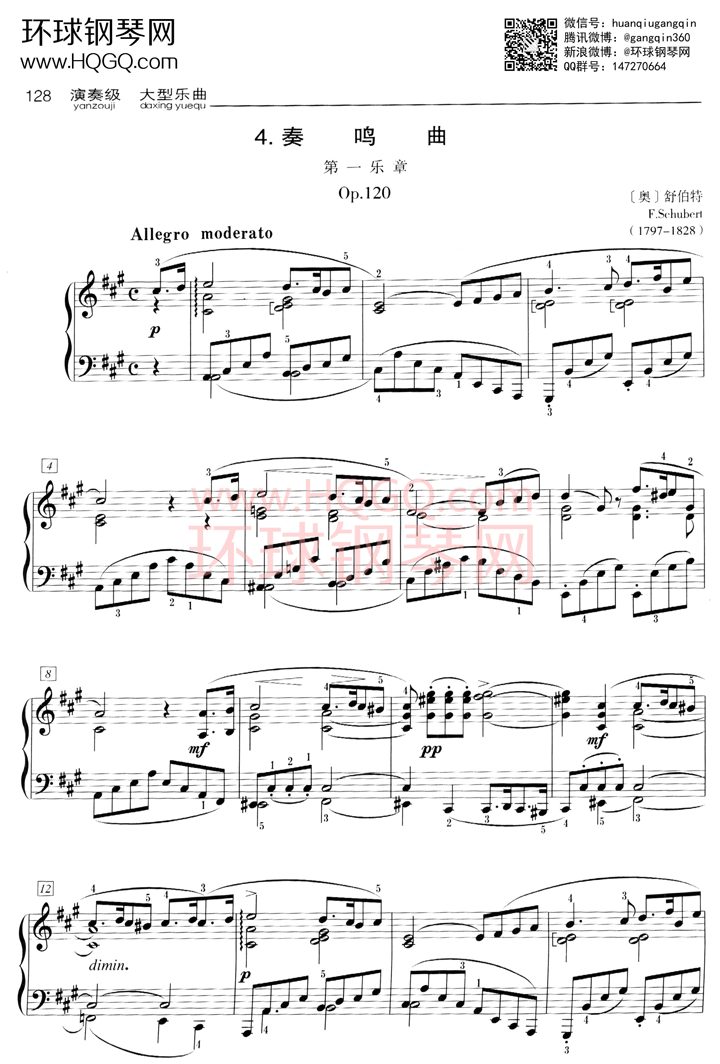 D4 奏鸣曲 第一乐章 Op.120钢琴谱