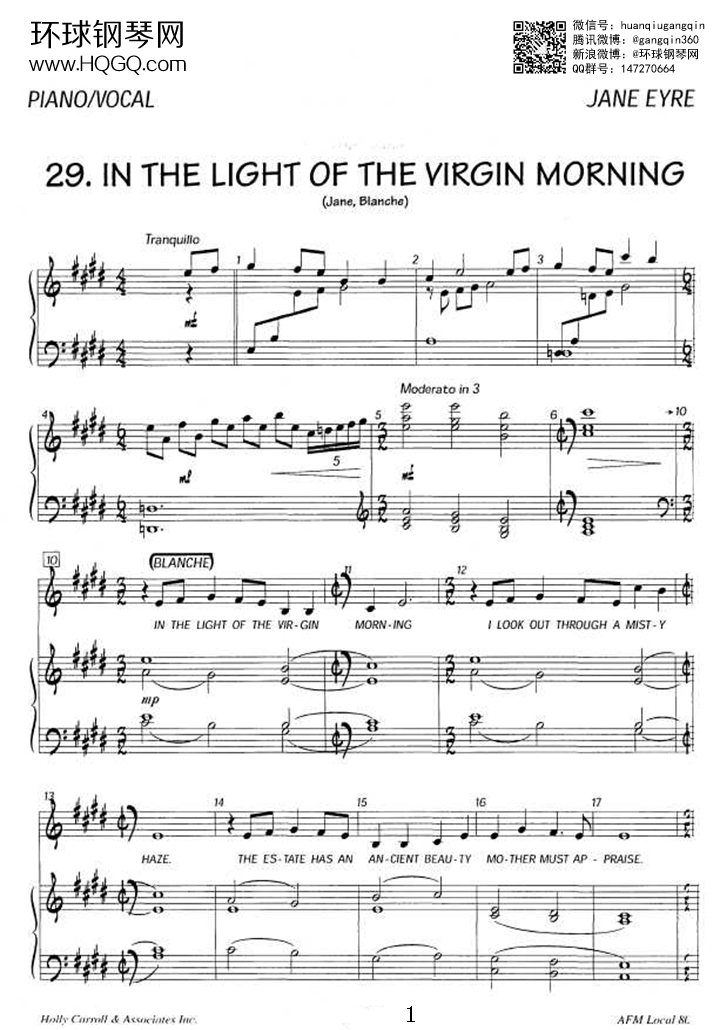 29.IN THE LIGHT  OF THE VIRGIN MORNING钢琴谱