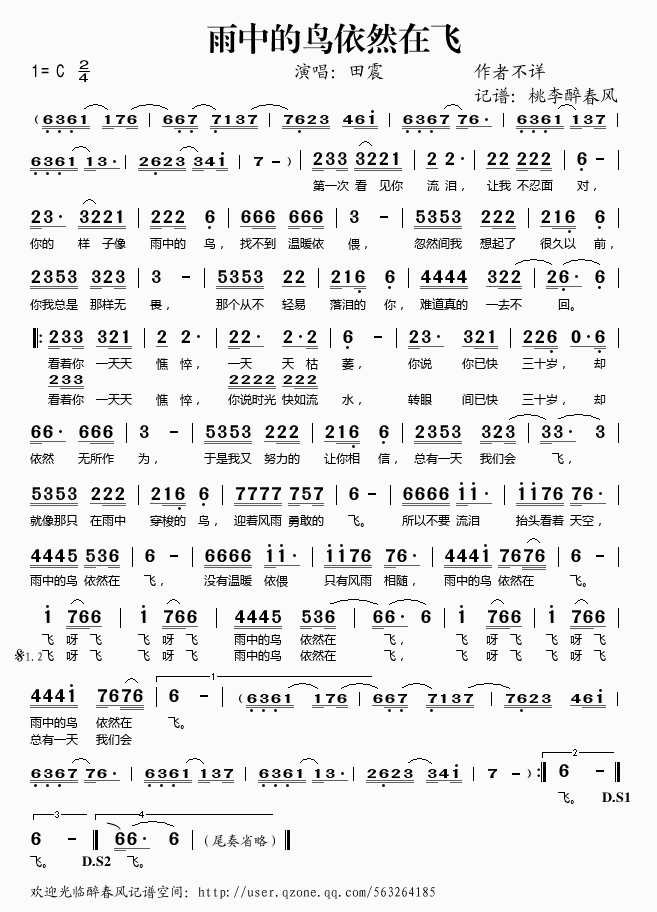 田震 《雨中的鸟依然在飞》简谱