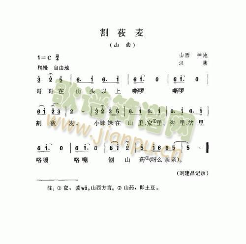 未知 《割莜麦（山曲）》简谱