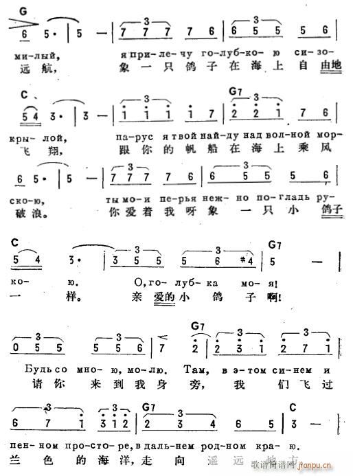 未知 《鸽子(俄汉双语)2》简谱