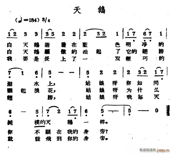 未知 《天鹅（哈萨克民歌）》简谱