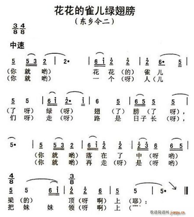 未知 《花花的雀儿绿翅膀》简谱