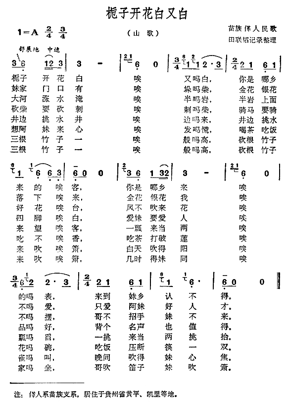 未知 《栀子开花白又白》简谱