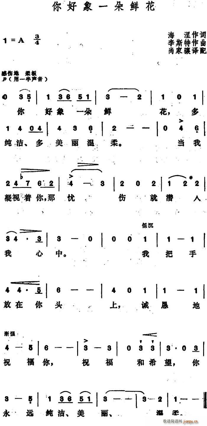 海涅 《[匈]你好象一朵鲜花》简谱