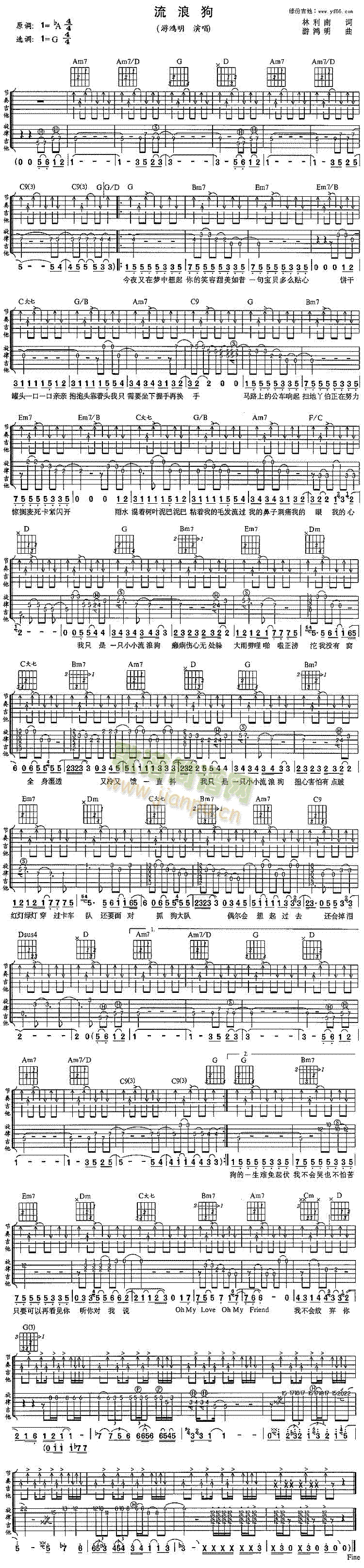 游鸿明 《流浪狗》简谱