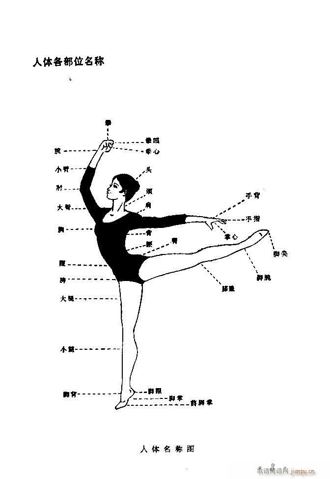 未知 《舞蹈动作选 目录-40》简谱