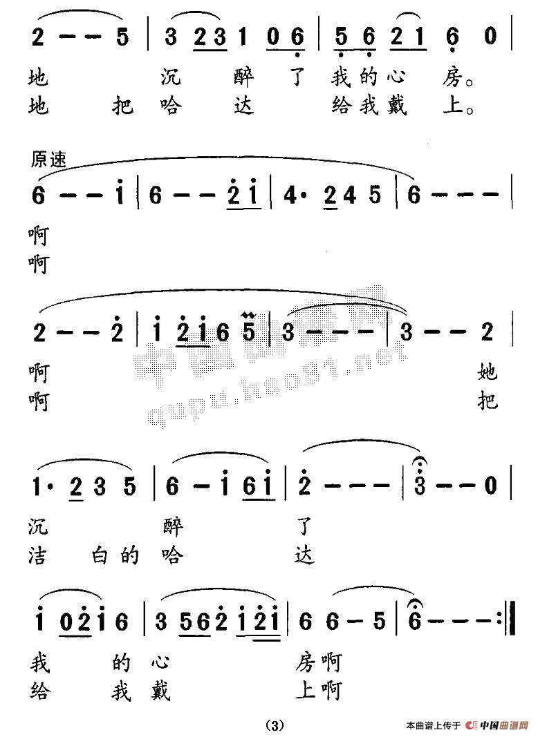 未知 《美丽的金银滩上》简谱