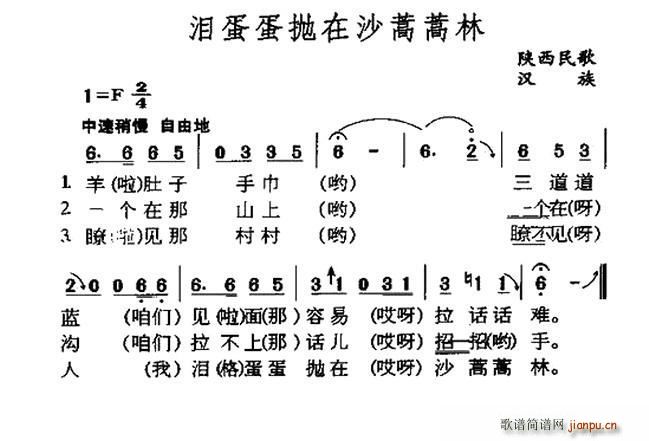 未知 《泪蛋蛋抛在沙蒿蒿林（陕西民歌）》简谱