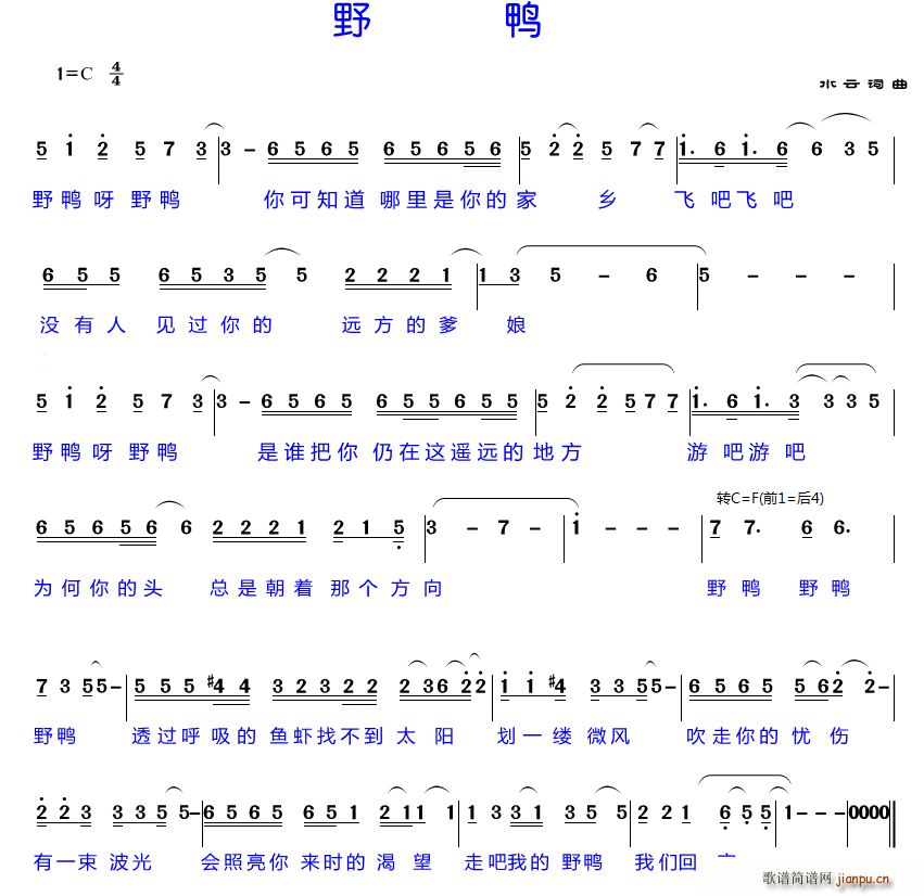 水云 水云 《野鸭》简谱