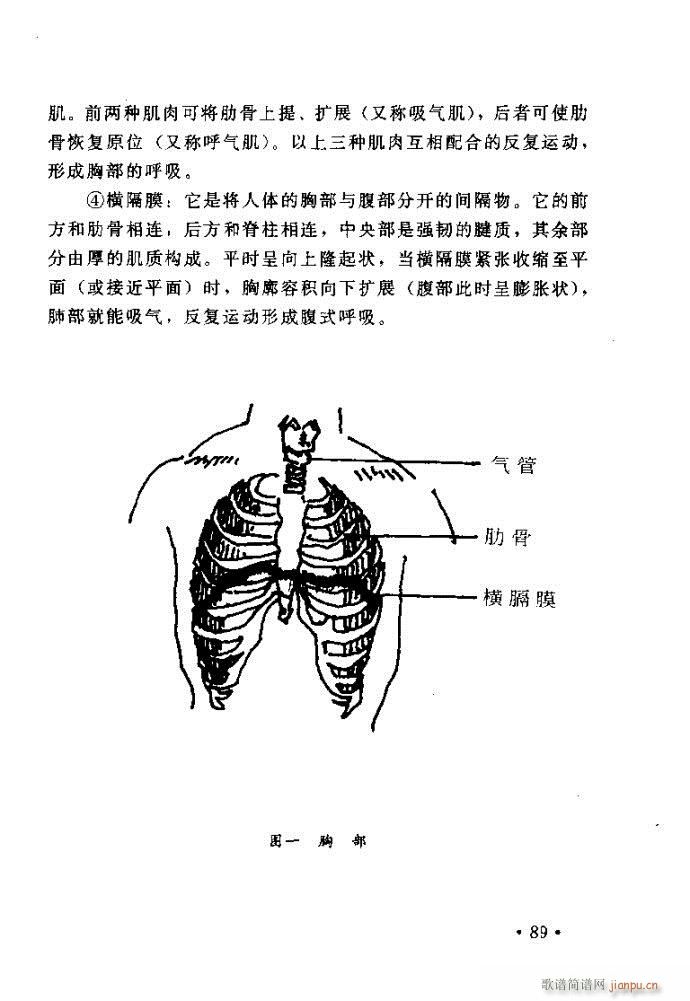 读谱歌 《唱艺术——唱歌的技巧与方法81-120》简谱