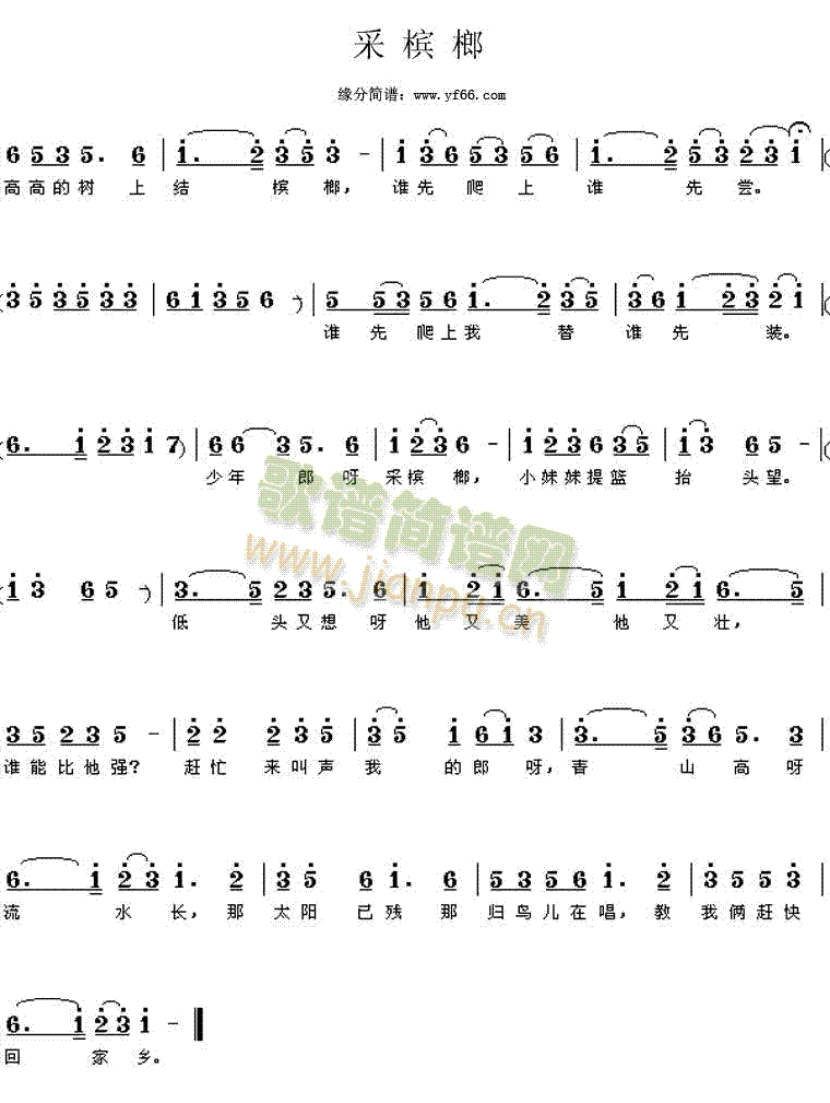 凤飞飞 《采槟榔》简谱