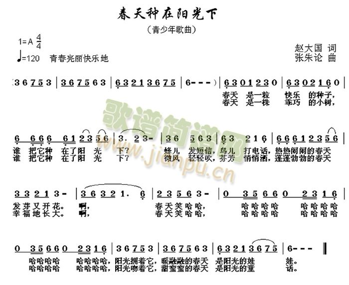 未知 《春天种在阳光下》简谱