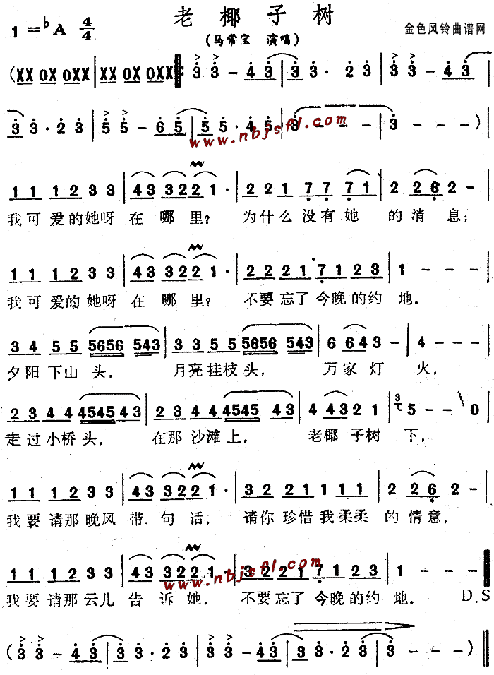 马常宝 《老椰子树》简谱