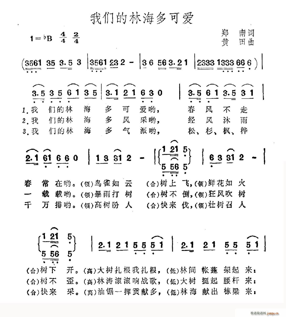 郑南 《我们的林海多可爱》简谱