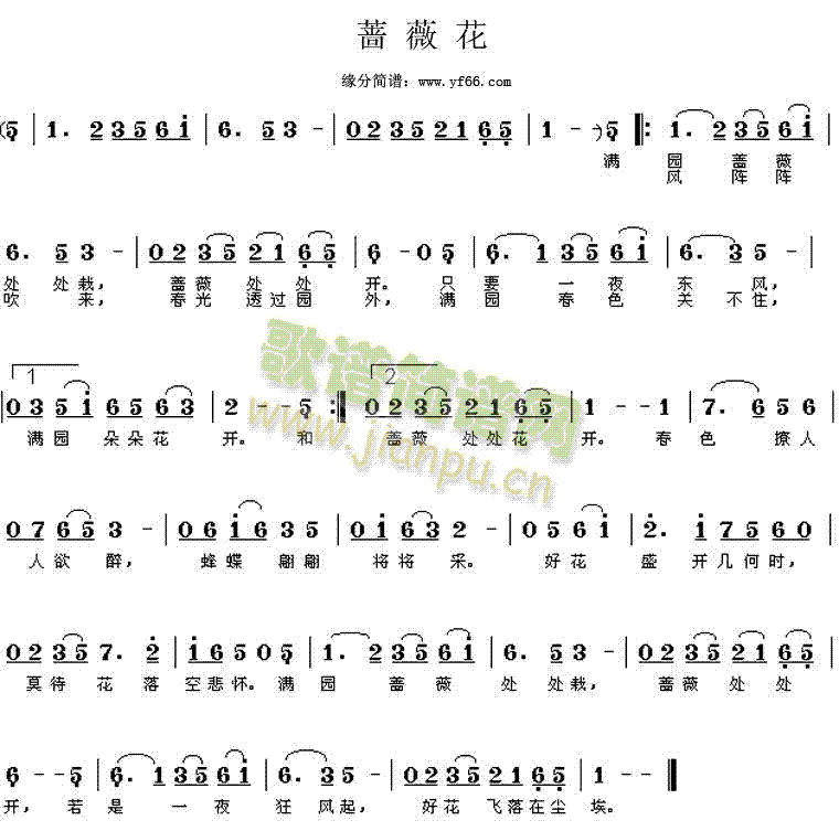 经典老歌 《蔷薇花》简谱