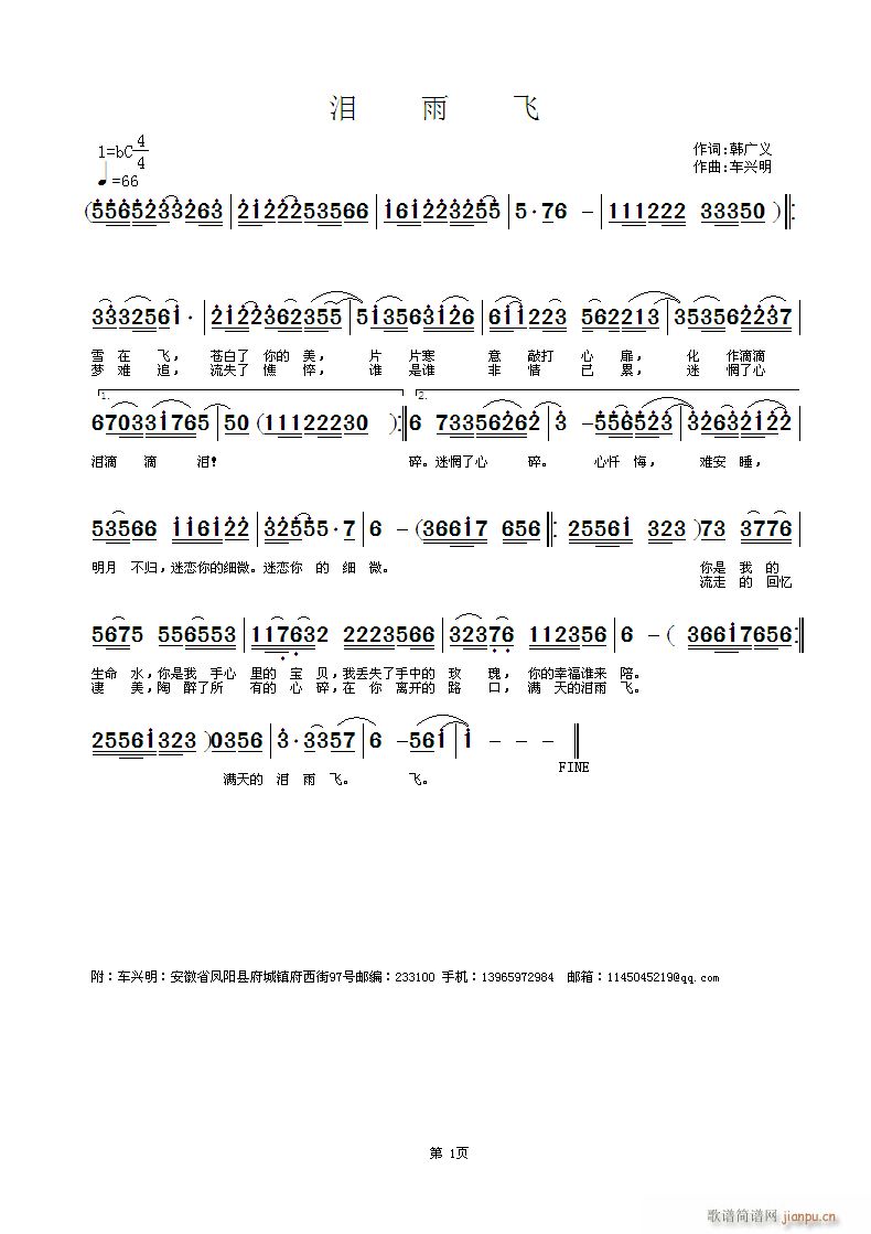 车兴明 韩广义 《泪雨飞》简谱