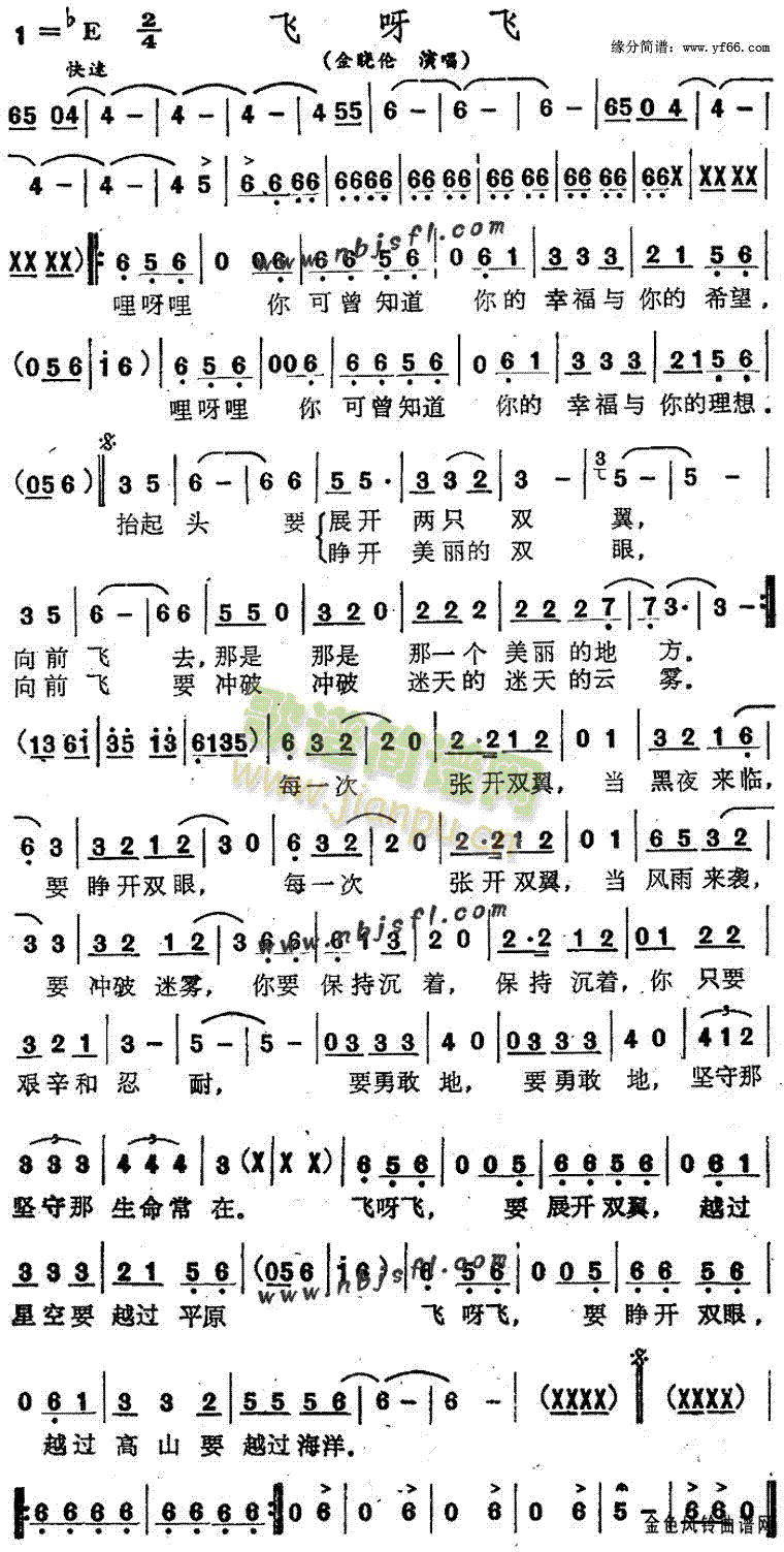 金晓伦 《飞呀飞》简谱