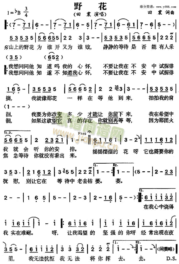 田震 《野花》简谱