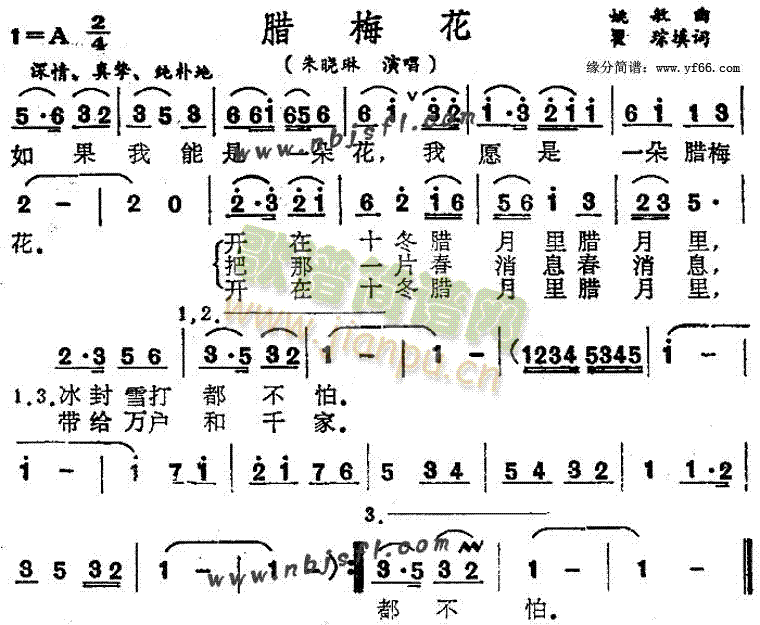 朱晓琳 《腊梅花》简谱