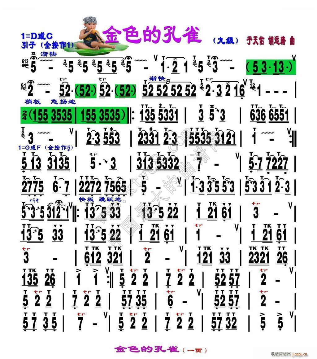 未知 《金色的孔雀 刘慧淑制谱版》简谱