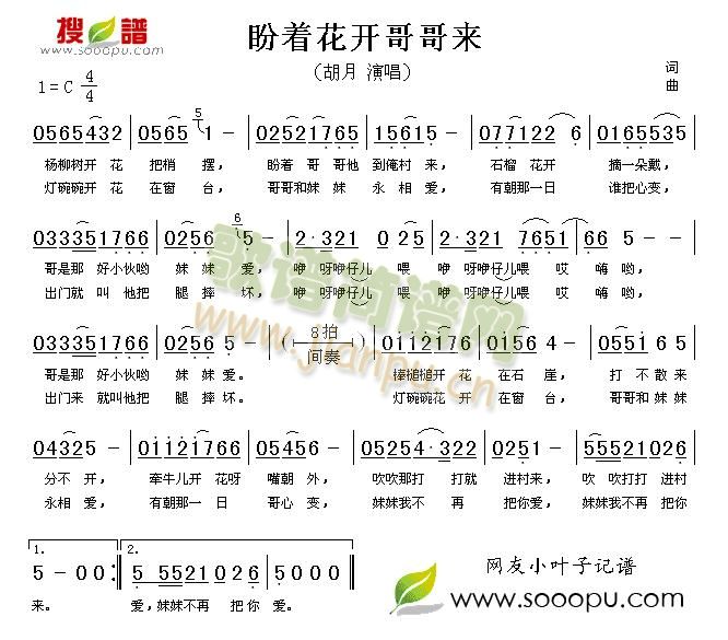 胡月 《盼着花开哥哥来》简谱