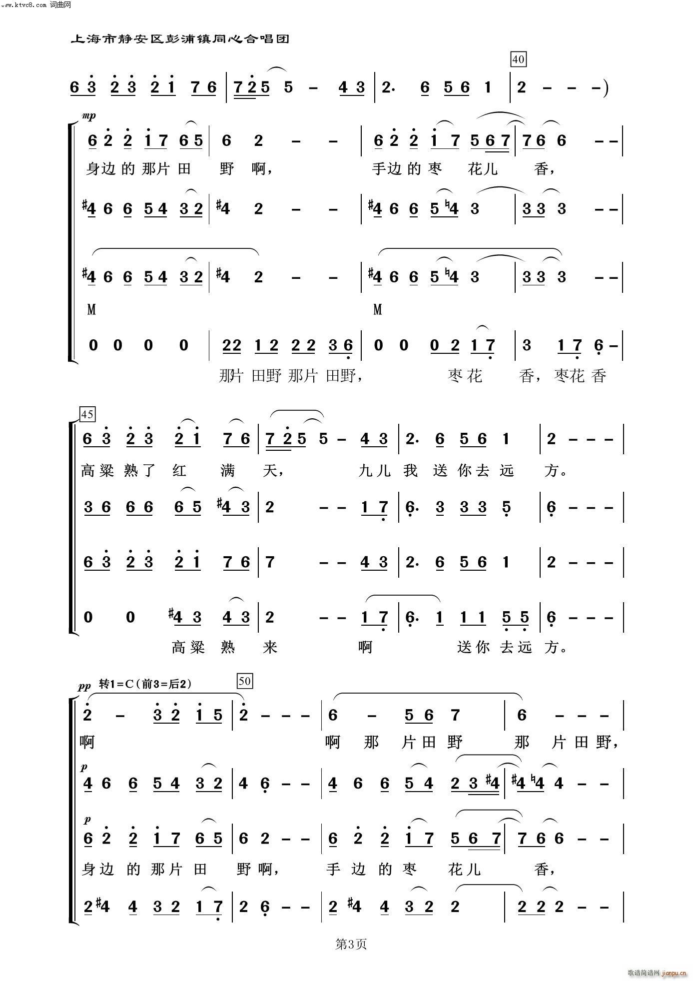 阿鲲 何其玲 《九儿(常青放歌二)》简谱