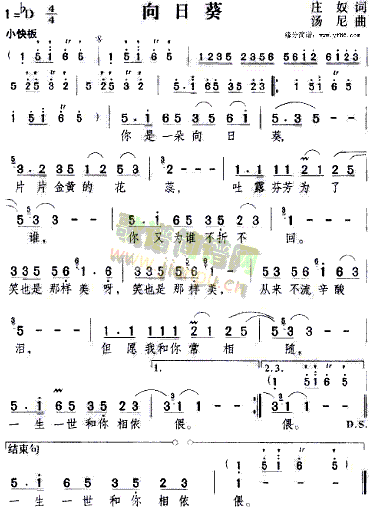 邓丽君 《向日葵》简谱