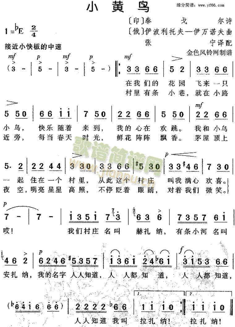 未知 《小黄鸟》简谱