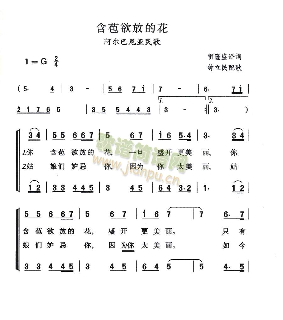 阿尔巴尼亚民歌 《含苞欲放的花》简谱