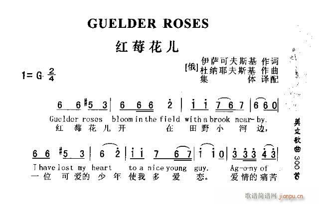 未知 《GUUELDER ROSES（红莓花儿开）》简谱