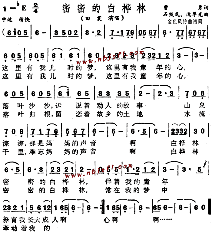 田震 《密密的白桦林》简谱