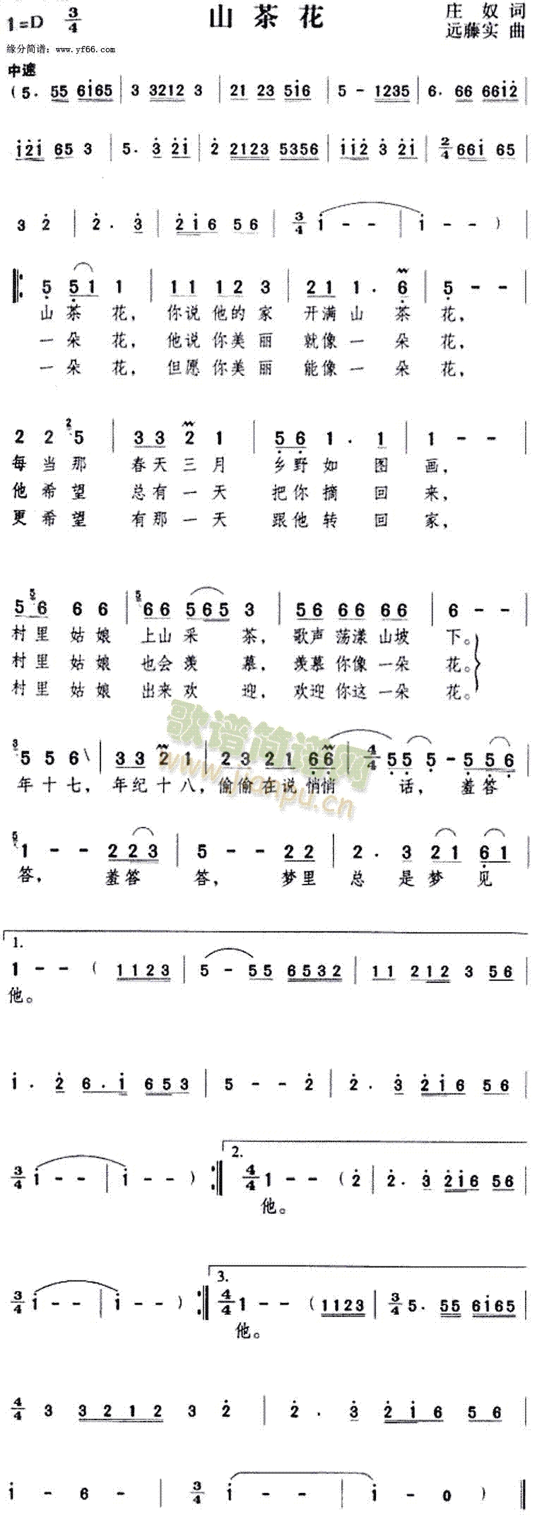 邓丽君 《山茶花》简谱