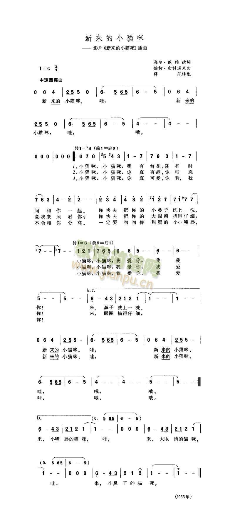 未知 《新来的小猫咪》简谱