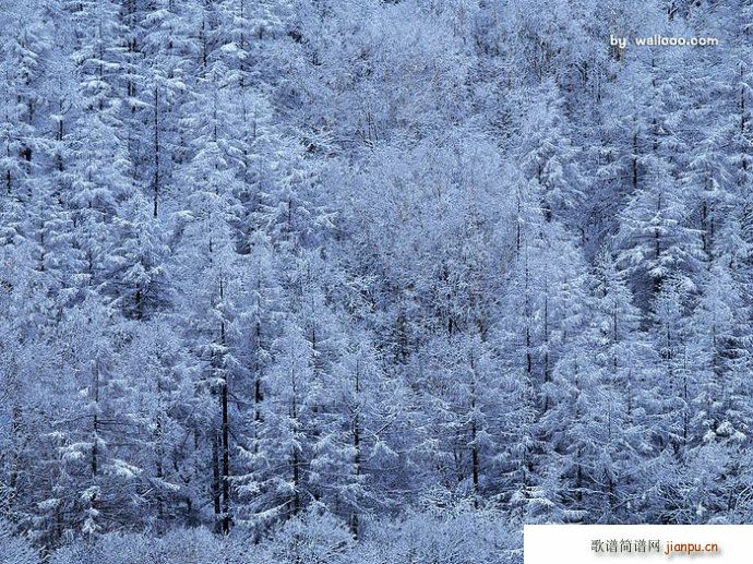 未知 《京歌 沁园春 雪》简谱