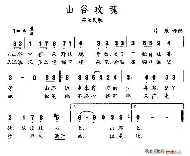 麦田守望者 《山谷玫瑰（芬兰）》简谱