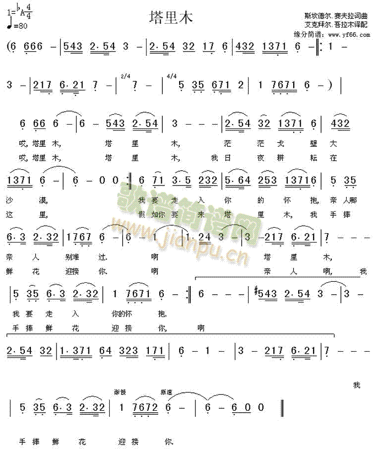 未知 《塔里木》简谱