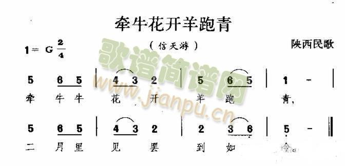 未知 《牵牛花开羊跑青 陕西民歌》简谱