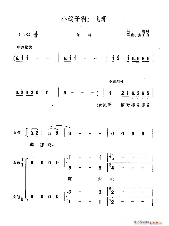 马瞻 《小鸽子啊 飞呀》简谱