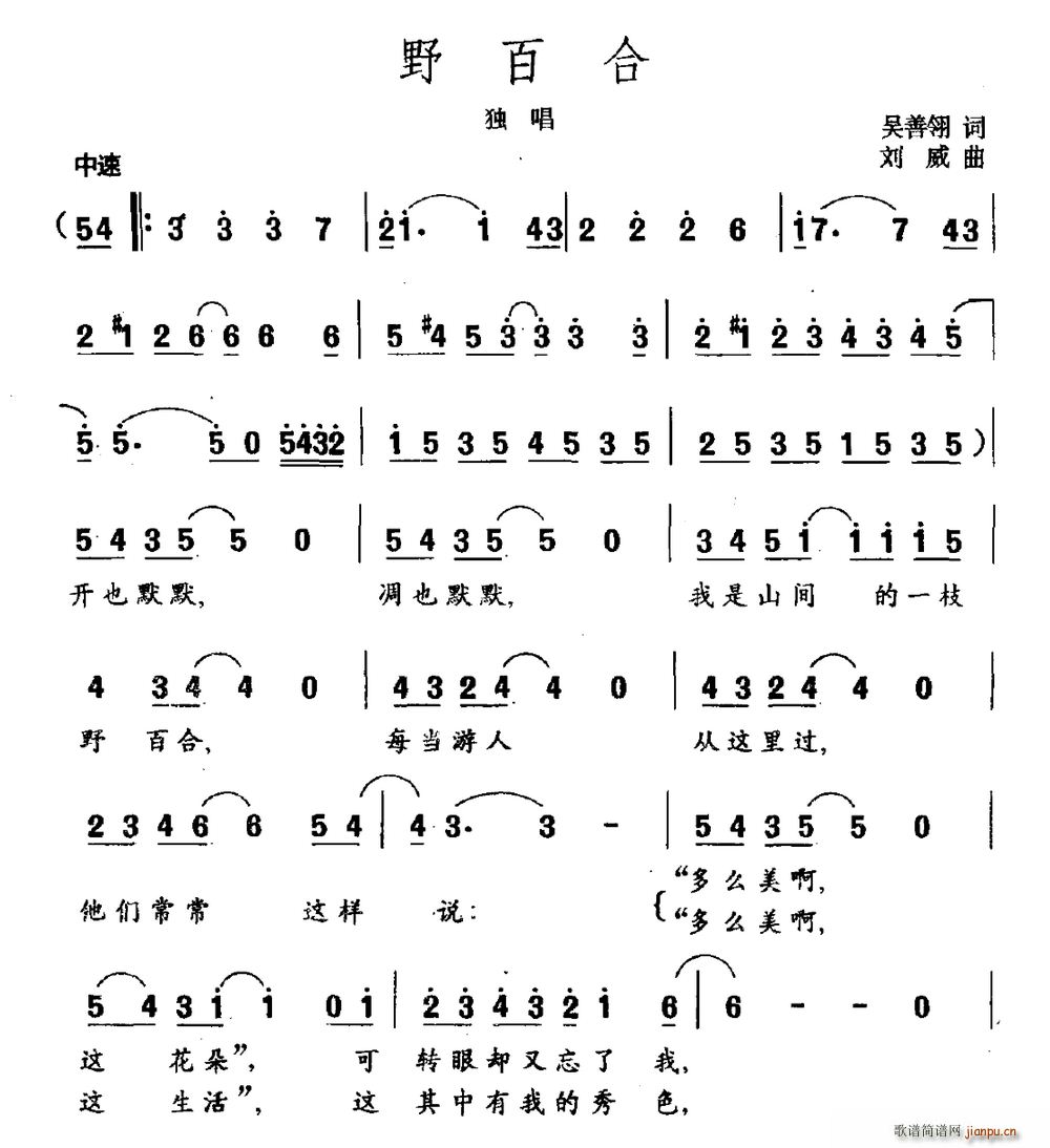 吴善翎 《野百合》简谱