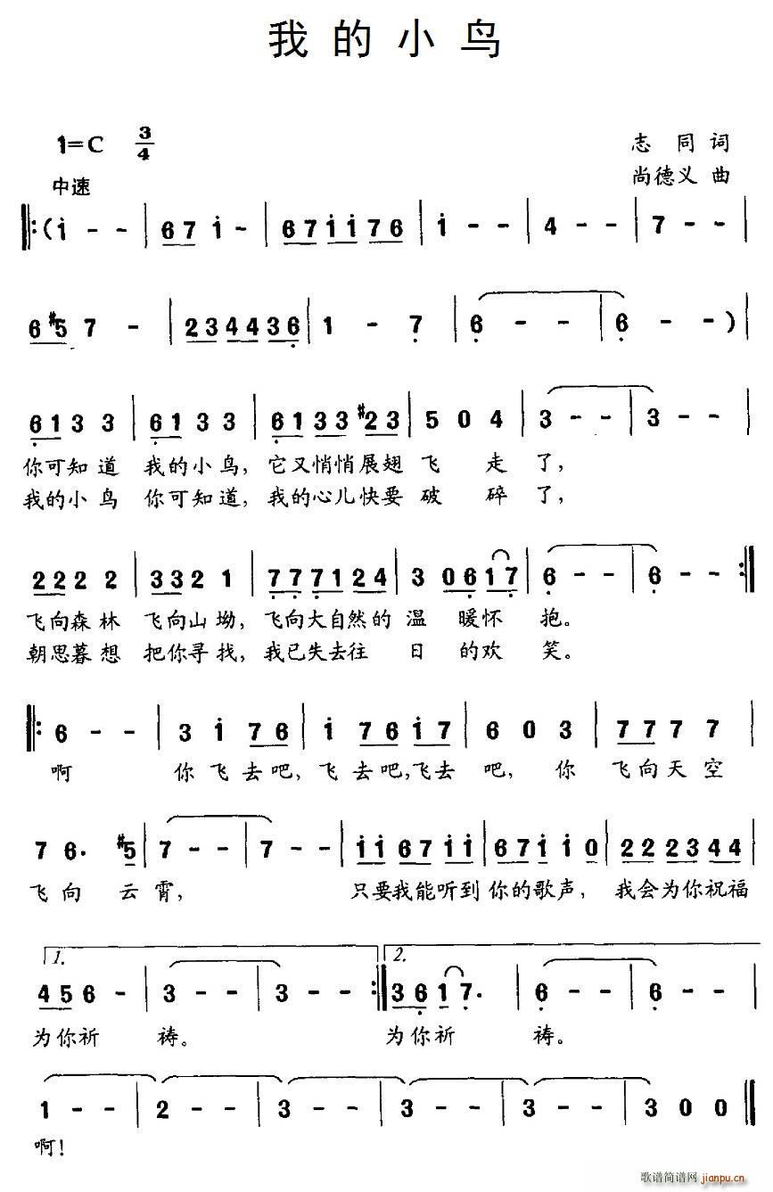 志同 《我的小鸟》简谱