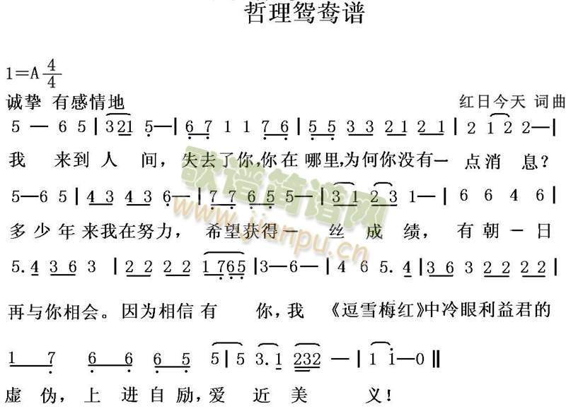 红日今天 《哲理鸳鸯谱》简谱