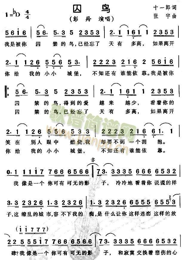 彭羚 《囚鸟》简谱