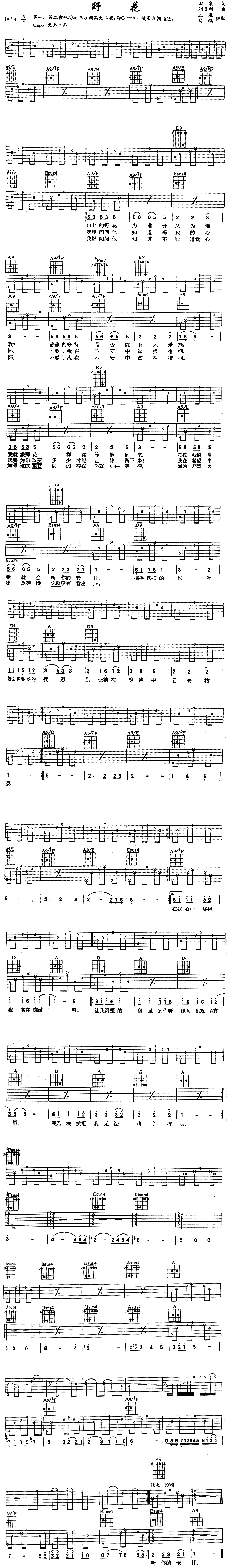 未知 《野花》简谱