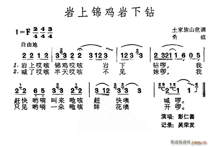 未知 《岩上锦鸡岩下钻（土家族山歌）》简谱