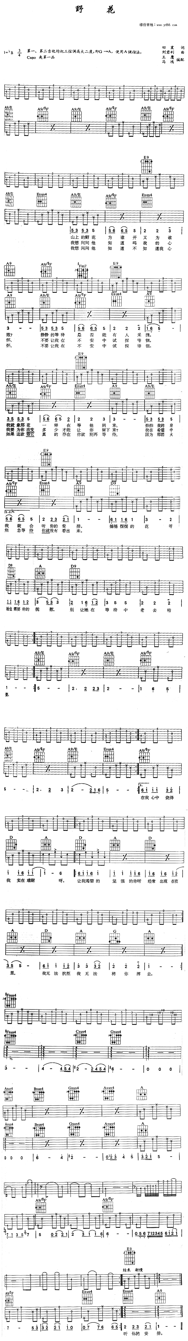 未知 《野花》简谱