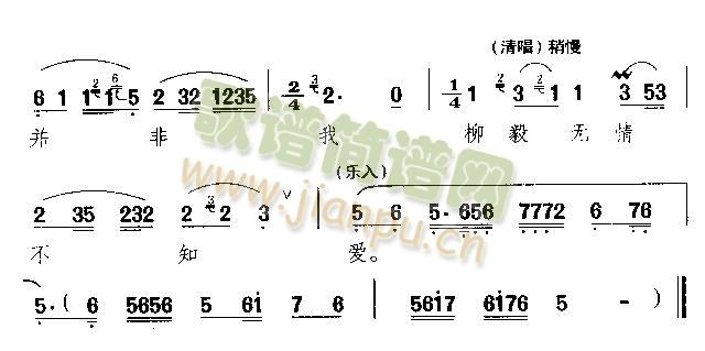 未知 《借花献弗敬一杯》简谱