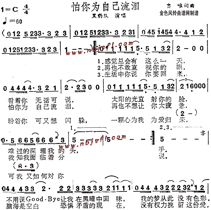 黑豹乐队 《怕你为自己流泪》简谱